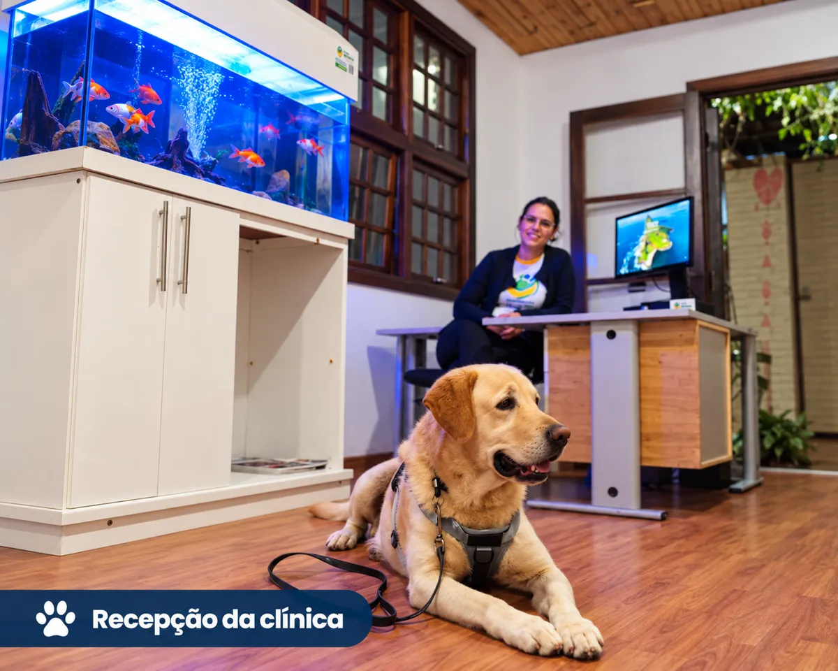 História do Instituto Ação Pet